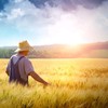 Названы регионы-лидеры по производству аграрной продукции в Украине