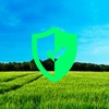 Выкрыта схема незаконного оформления прав на землю через сельсовет